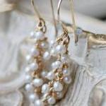 Delicate Earrings Freshwater Pearl, Wedding..